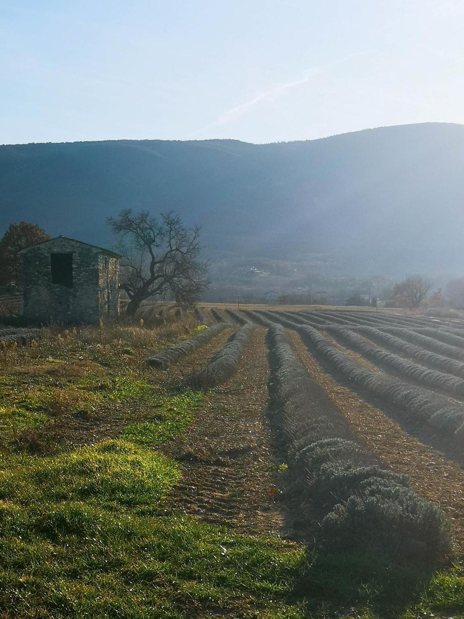 Le Petit Paradis Villa Saint-Martin-de-Castillon Eksteriør billede